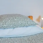 And Pri Urhu 招待所 3*